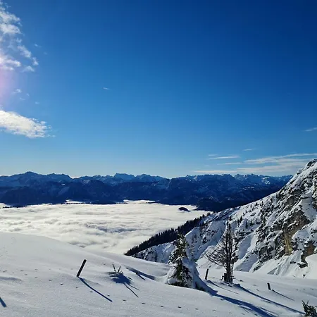 Happy Nest Göstling an der Ybbs