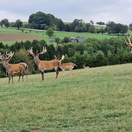 Apartmán Happy Nest