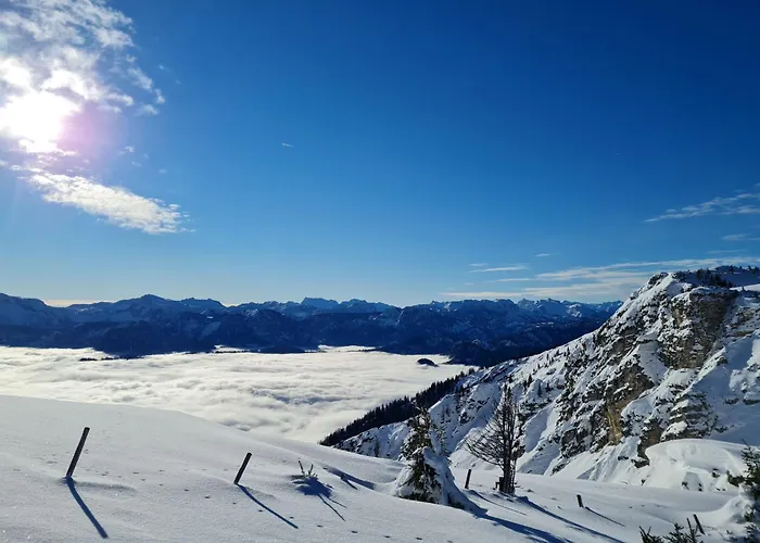 Happy Nest Göstling an der Ybbs