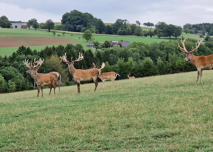 Apartment Happy Nest