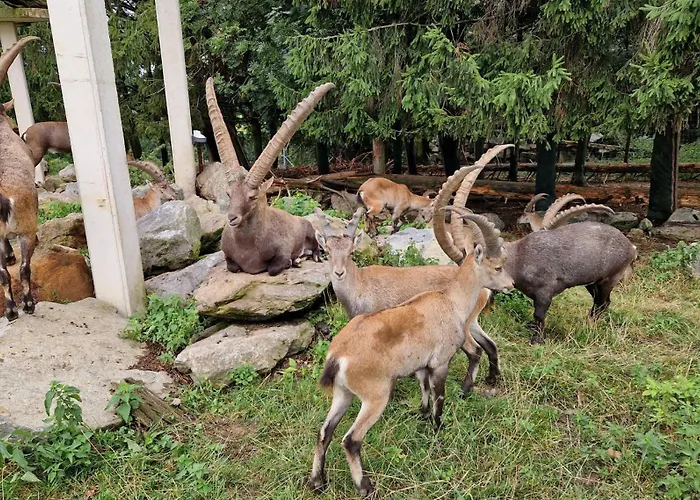 Happy Nest * Goestling an der Ybbs