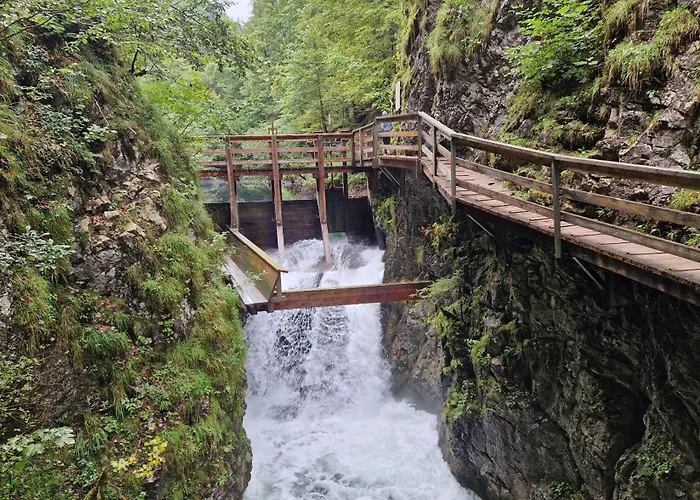 Happy Nest Appartement